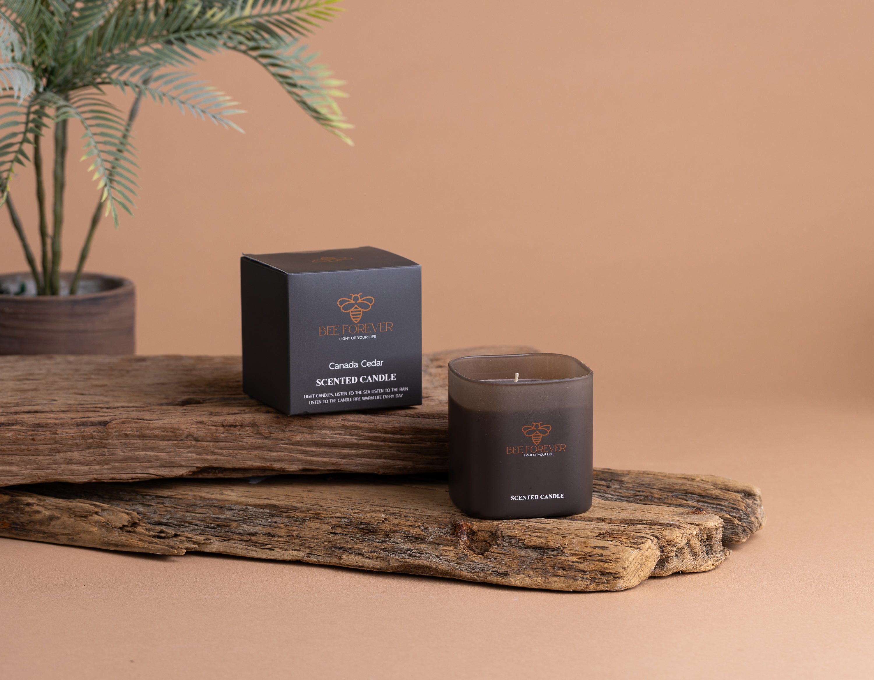 Canada Cedar Candle